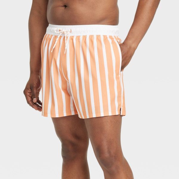 Men's 5'' Striped Swim Trunks